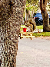 Load image into Gallery viewer, Squirrel Picnic Table Bird Chipmunk Feeder Wildlife Rustic Crafted from fence boards Outdoor Yard Decor The Squirrel Table