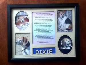Personalized Pet Display Frame With Pet's Name Engraved Insert Photo slots Rainbow Bridge poem Black frame